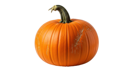 Vibrant orange pumpkin for autumn harvest decorations.