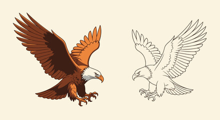 Fototapeta premium Vibrant illustration of a powerful eagle with outstretched wings and sharp talons, paired with its elegant line art sketch on a light background.