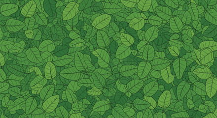 A lush, vibrant overhead view of various shades of green leaves, creating a dense and natural textured background.