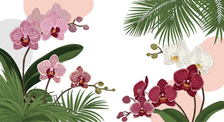 Elegant illustration of colorful orchids and tropical palm leaves on a white background with abstract pastel shapes, perfect for botanical designs.