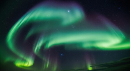 Celestial Serpent - A Vibrant Green and Purple Aurora Borealis Coils Across the Night.