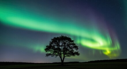 Majestic Aurora Borealis Dances Above Solitary Silhouetted Tree Under Starry Night Sky.