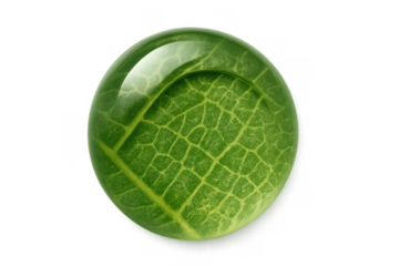 Transparent glass sphere encapsulating a vibrant green leaf vein pattern. Representing nature, ecology, recycle, and clean energy