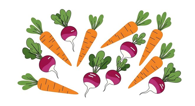 Fresh Carrots and Radishes - A Colorful Vegetable Medley.