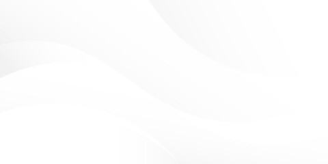 Abstract minimalist white and gray curve modern background. texture white pattern. vector illustration