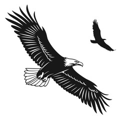 eagle vector illustration