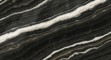 Elegant black and white marble texture with natural veins for design