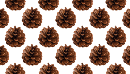 Seamless Repeating Pattern of Natural Brown Pinecones Isolated on Transparent Background
