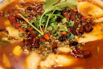 Sichuan cuisine (Chinese cuisine): Sichuan fish stew