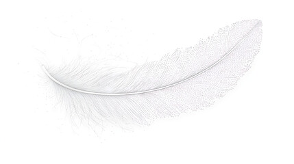 Delicate feather detail, elegant design element for branding, peaceful feeling, airy texture