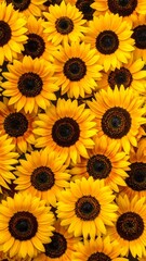 Close-up shot of many golden sunflowers in full bloom, creating a vibrant texture