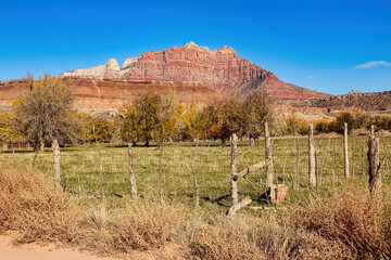 Autumn View of the Orchard in Grafton Ghost Town near Zion National Park in Utah.