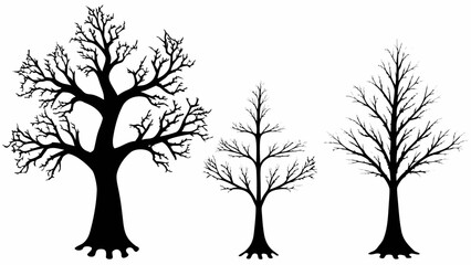 Fototapeta premium Striking silhouette trio of bare trees, a unique and compelling nature design element perfect for adding an organic touch to your project or background