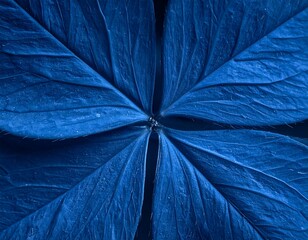 Close-up shows four veined leaves, arranged radially and tinted in an intense blue hue
