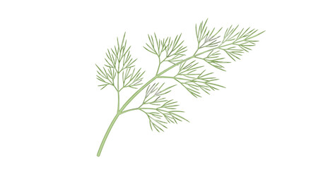 Fototapeta premium An illustration of a vibrant green sprig of fresh dill herb on a plain white background, highlighting its delicate, feathery leaves.