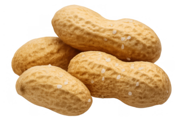 Salted peanuts still in shells, offering a popular snack food, protein source, and appetizer, isolated on a transparent background
