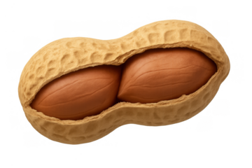 Peanut in shell opening, revealing two brown groundnuts, organic snack with healthy protein, transparent background