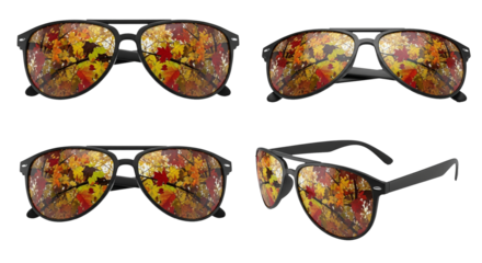 Stylish sunglasses reflecting autumn foliage, isolated on transparent background, trendy fall accessory