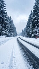 A snow-covered road winds through a dense forest of evergreen trees under a cloudy sky, creating a winter scene