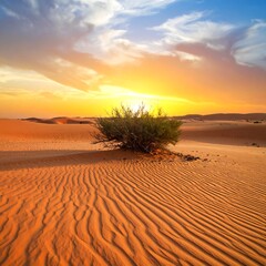 A sun-drenched desert landscape captures a vibrant sunset. A lone bush sits amidst textured sand dunes, reflecting a fiery sky