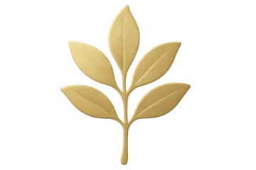 Golden plant branch with leaves, offering natural luxury and elegance, representing growth and decoration on transparent background