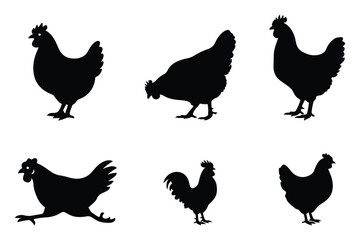 A collection of chicken and rooster silhouettes in different poses for farm and poultry artwork.