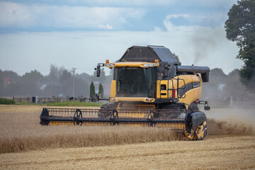 Combine harvests wheat on a field in sunny summer day. Agricultural work, harvesting on the lands in a summer field. Harvesting.