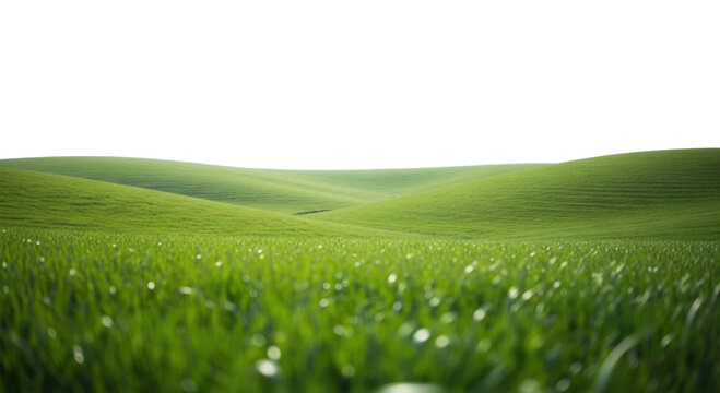 Green rolling hills with foreground grass transparent background cutout png