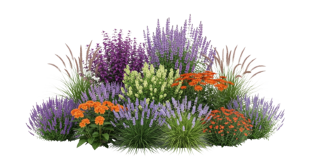 Colorful flower bed arrangement transparent background cutout png