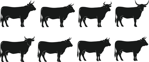 Bull silhouette vector, black livestock icons, horned animal graphics, standing posture clipart, farm species illustration, cattle design set, rural element
