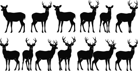 Deer silhouette vector, antlered animal icons, wildlife posture graphics, forest creature clipart, black deer shapes, nature species illustration