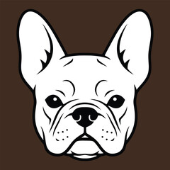 Cute portrait of an isolated French bulldog puppy