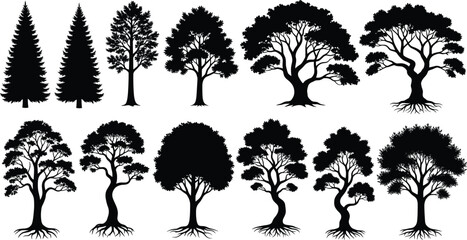 Tree silhouette vector, black botanical icons, diverse tree shapes, forest graphic clipart, nature illustration, landscape design element, foliage structure set