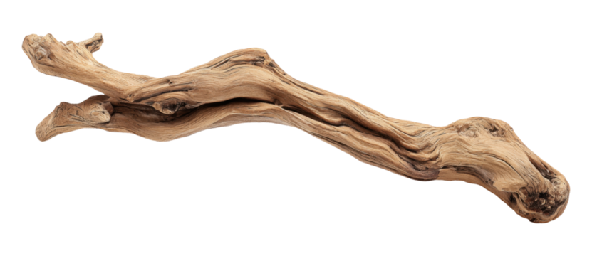 Driftwood with smooth flowing curves and natural wood texture, isolated on transparent background
