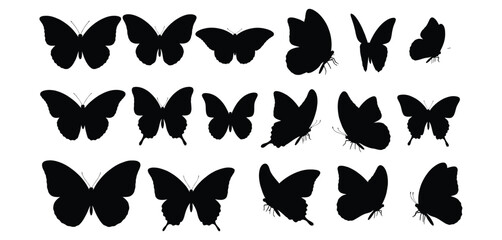 Fototapeta premium Collection of black butterfly silhouettes in various poses and sizes, isolated on a white background, perfect for design elements and nature themes
