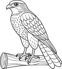Majestic falcon perched on branch outline illustration for wildlife coloring bird studies and nature themed design