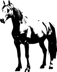 A black silhouette of a horse  exuding grace and strength against a clean white backdrop