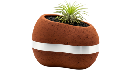 Terracotta planter with plant and silver accent isolated on transparent background