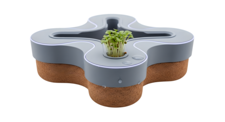 Modern indoor garden with cork base isolated on transparent background