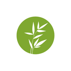 Obraz premium Minimalist bamboo leaf vector graphic on green circle element design