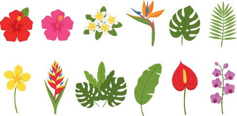 Flat Design Tropical Exotic Flower Collection © ACE Visual