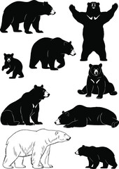 Collection of diverse bear silhouettes and detailed illustrations showing various species, natural poses, and wildlife behaviors for high-quality animal vector artwork and design content © It's Majed Here