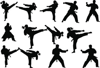 Collection of dynamic martial arts silhouettes featuring men and women performing powerful kicks, defensive stances, and karate techniques, ideal for combat sport vector illustration designs © It's Majed Here