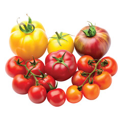 Fototapeta premium Tomato Family Variety: Different tomato types (Roma, cherry, beefsteak, yellow) displayed together, colorful diversity concept, PNG format.