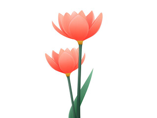 Red tulip flower illustration with green leaves, two blooming stems, elegant botanical design, isolated on transparent background, fresh and vibrant spring floral art