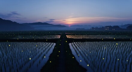 Nocturnal scene of a rice paddy at twilight with fireflies, hills, and a fading sunset