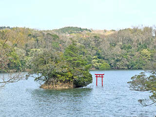 The red torii gate stands in the water, a symbol of Shinto, with an island and lush trees in the background