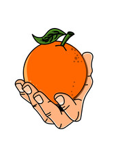  Illustration of a hand with an orange
