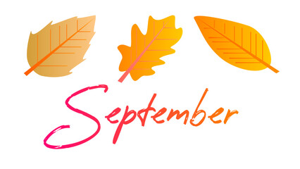 Autumn leaves with lettering on white background. Vector illustration.