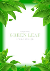 青葉のフレームデザイン｜新緑の葉のリアルなベクターイラスト